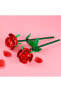 Фото #6 товара 40460 Iconic Rose