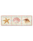 Фото #1 товара Картина холст Sea Shells 4 от Trademark Global 19" x 6" x 2"