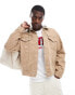 Фото #1 товара Levi's sweat hood relaxed fit canvas trucker jacket in tan