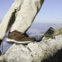 Фото #9 товара COLUMBIA Redmond™ III WP hiking shoes