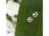 Фото #5 товара Серебряные трехцветные серьги Paradise ERE-PARA-TRI-ST