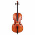 Hidersine Vivente Cello Set 4/4