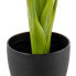 Decorative Plant Green 95 cm Arum lily