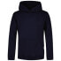 REPLAY M6702 .000.23614P hoodie