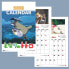 SEMIC My Neighbor Totoro Calendar 2023 English Version