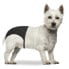 ფოტო #1 პროდუქტის DUVO+ Slip Dog Pants S 24-31 cm