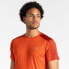 ფოტო #6 პროდუქტის DARE2B Discernible short sleeve T-shirt