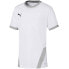 Фото #2 товара Puma teamGOAL 23 Jersey Jr T-shirt 704160 04