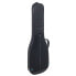 Reunion Blues CV Bass guitar Case