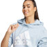 Фото #5 товара adidas Essentials Big Logo Regular Fleece Hoodie W IR9329