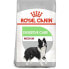 ROYAL 12kg digestive care