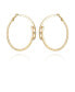 14K Gold-Plated and Crystal 3 Stone Hoop Earring