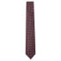 Фото #1 товара HACKETT Pine Star Tie