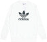 Фото #1 товара Толстовка мужская Adidas Originals DV1544 белая