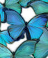 Фото #3 товара Blue and Green Butterflies Mixed Media Wall Art, 24" x 16"