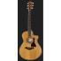 Taylor 212ce Spruce/Walnut