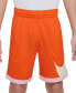 ფოტო #1 პროდუქტის Big Boys Dri-FIT Standard-Fit Colorblocked Basketball Shorts