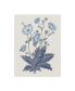 Фото #1 товара Wild Apple Portfolio Blue Botanical VI Canvas Art - 37" x 49"