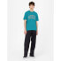 ფოტო #5 პროდუქტის DICKIES Aitkin short sleeve T-shirt