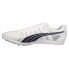 Puma Evospeed MidDistance X Tracksmith Track And Field Mens White Sneakers Athl