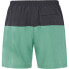 Фото #2 товара PROTEST Heli Swimming Shorts