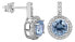 Charming earrings with light blue crystals SC295