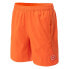 Фото #3 товара AQUAWAVE Aguario Shorts