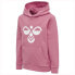 Фото #4 товара HUMMEL Cuatro hoodie