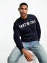 Фото #1 товара GANT 1949 crest logo applique relaxed fit sweatshirt in navy