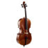 Gewa Maestro 6 Cello 7/8