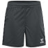 Фото #1 товара HUMMEL Authentic PL Shorts