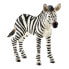 SCHLEICH Wild Life 14811 Zebra Foal