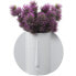 Vase Alexandra House Living White Ceramic Shiny Face 13 x 24 x 20 cm