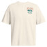 ფოტო #4 პროდუქტის UNDER ARMOUR Heavyweight Record Breakers short sleeve T-shirt