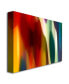 Amy Vangsgard 'Color Fury III' Canvas Art - 47" x 30"