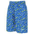 Фото #1 товара Плавательные шорты Zoggs Printed 15´´ Shorts ED Гидрокостюм