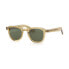 Clear Brown / Polarized Green