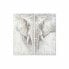 Set of 2 pictures DKD Home Decor Elephant Colonial 120 x 3,7 x 120 cm