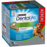 PURINA Dentalife Canine Large 1272g Teeth Dog Snack