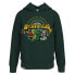 Фото #1 товара LEGO WEAR M12010589 Hoodie