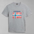 ფოტო #3 პროდუქტის NAPAPIJRI S-Guiro short sleeve T-shirt