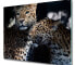 Фото #1 товара Schneidebrett Zwei Leoparden