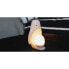 Фото #5 товара TOMMEE TIPPEE 2 In 1 Portable Penguin Night Light