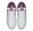Кроссовки Nike SB Dunk Low Parra (Белый)