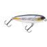 SAKURA Naja Topwater Stickbait 65 mm 6.5g