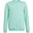 Фото #1 товара Adidas Entrada 22 Sweat Top Jr HC5042 sweatshirt