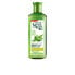 ECOCERT BIO SHAMPOO oily hair 300 ml