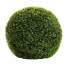 Фото #2 товара Buchskugel Buxus