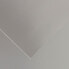 Фото #1 товара Картонная бумага Iris Серый Серебристый 50 x 65 cm