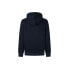 Фото #2 товара Pepe Jeans RYAN HOODIE FUTURE